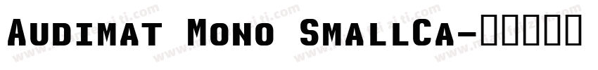 Audimat Mono SmallCa字体转换